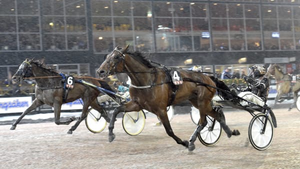 Foto: LARS JAKOBSSON / TR BILD