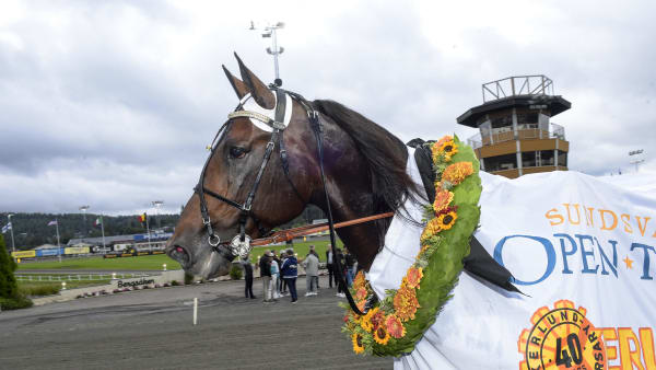 Foto: LARS JAKOBSSON / TR BILD