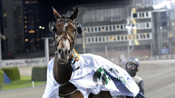 Foto: LARS JAKOBSSON / TR BILD