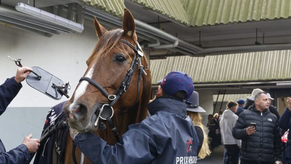Foto: JEAN-LUC LAMAÈRE/TR BILD