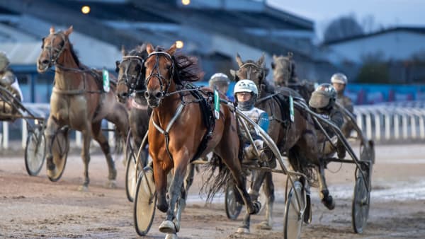 Foto: MIKAEL ROSENQUIST / TR BILD