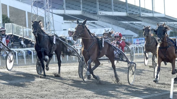 Foto: LARS JAKOBSSON / TR BILD