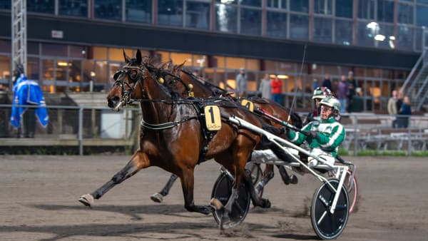Foto: MIKAEL ROSENQUIST / TR BILD