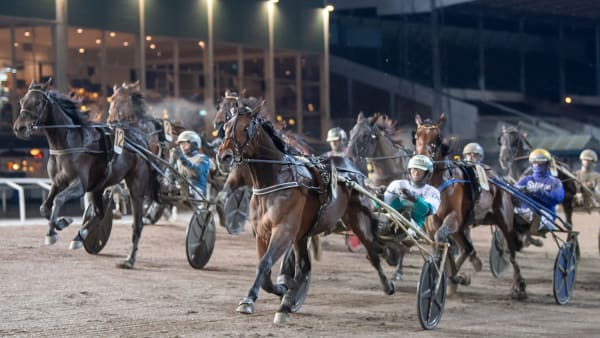 Foto: MIKAEL ROSENQUIST / TR BILD
