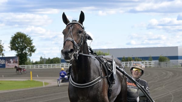 Foto: LARS JAKOBSSON / TR BILD