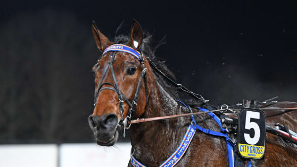 Foto: MALIN ALBINSSON / TR BILD