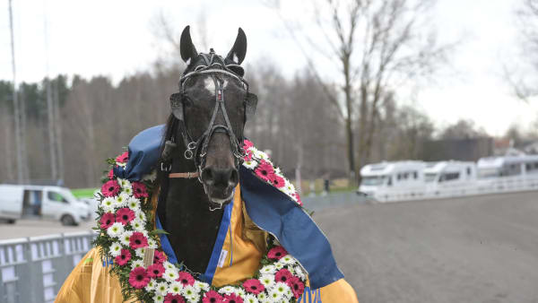 Foto: LARS JAKOBSSON / TR BILD