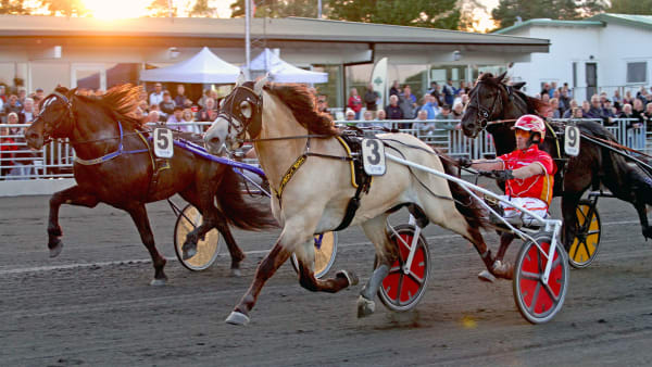 Foto: TOM JÖNEHAG/TR BILD