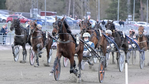 Foto: LARS JAKOBSSON / TR BILD