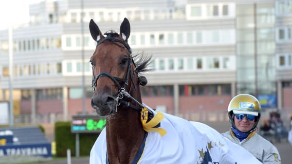 Foto: LARS JAKOBSSON / TR BILD