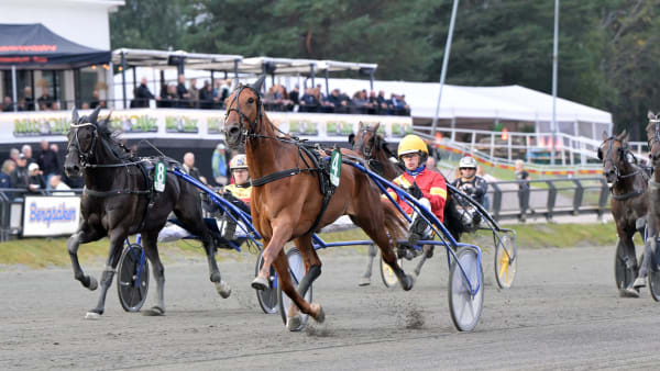 Foto: LARS JAKOBSSON / TR BILD