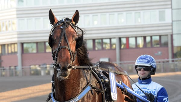 Foto: LARS JAKOBSSON / TR BILD