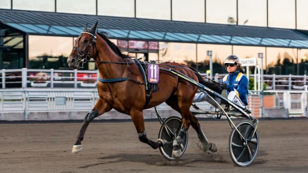 Foto: LENA EMMOTH / TR BILD