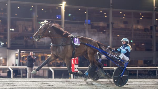 Foto: MIKAEL ROSENQUIST / TR BILD