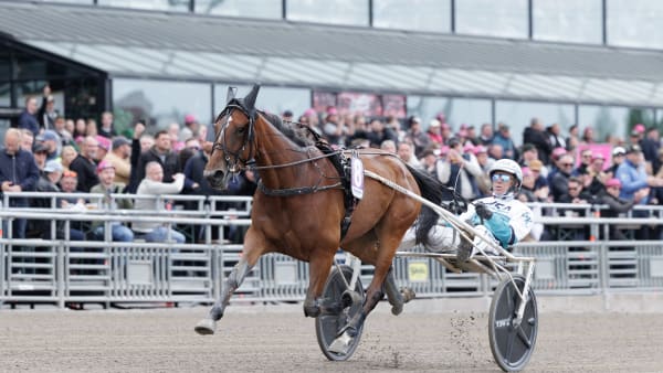 Foto: LENA EMMOTH / TR BILD