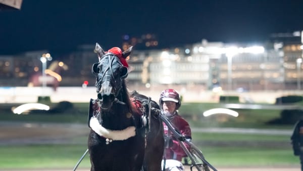 Foto: AMIE KARLSSON/TR BILD