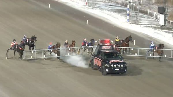 Foto: SVENSK TRAVSPORT