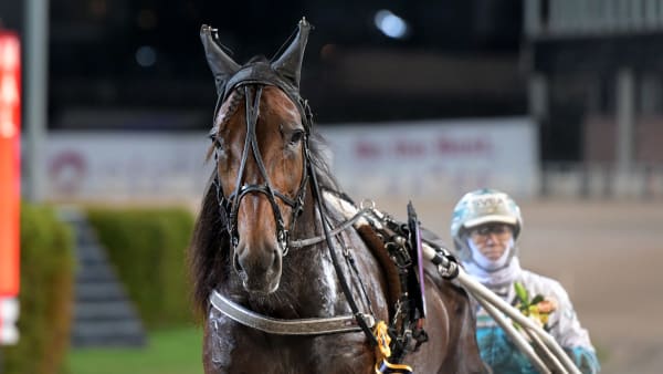 Foto: LARS JAKOBSSON / TR BILD