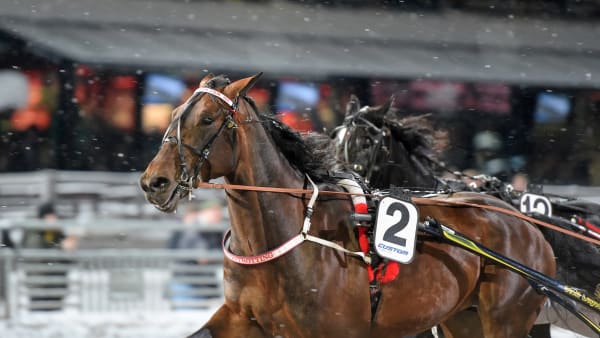 Foto: LARS JAKOBSSON / TR BILD