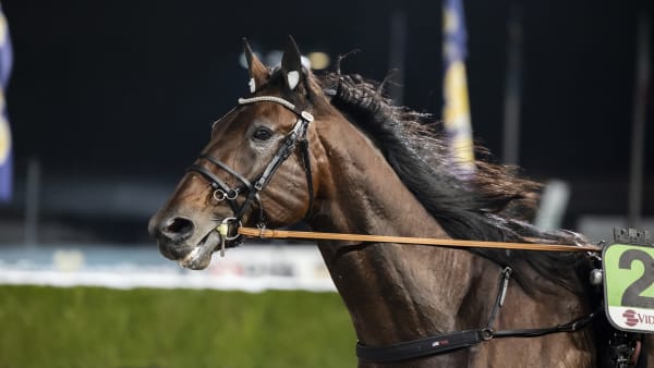 Foto: LENA EMMOTH / TR BILD