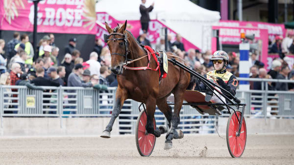 Foto: LENA EMMOTH / TR BILD