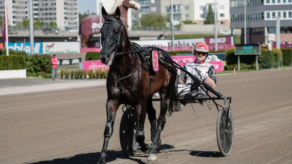 Foto: LENA EMMOTH / TR BILD