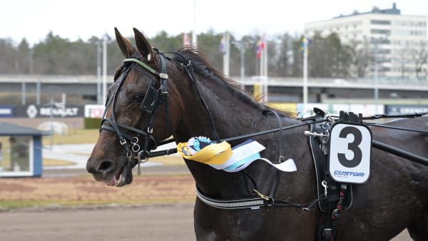 Foto: LARS JAKOBSSON / TR BILD