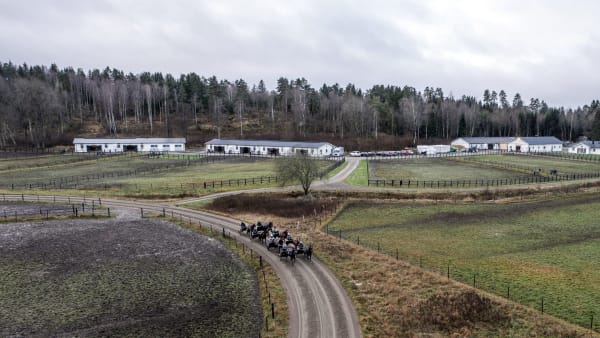 Foto: Stefan Svensson