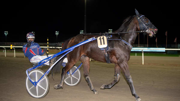 Foto: MIKAEL ROSENQUIST / TR BILD