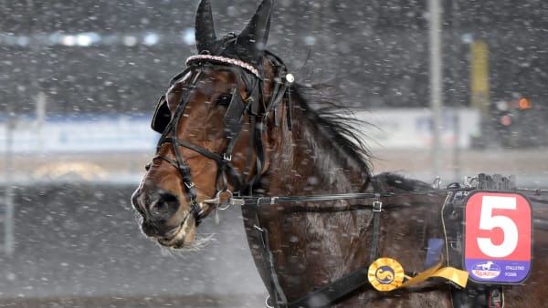 Foto: LARS JAKOBSSON / TR BILD