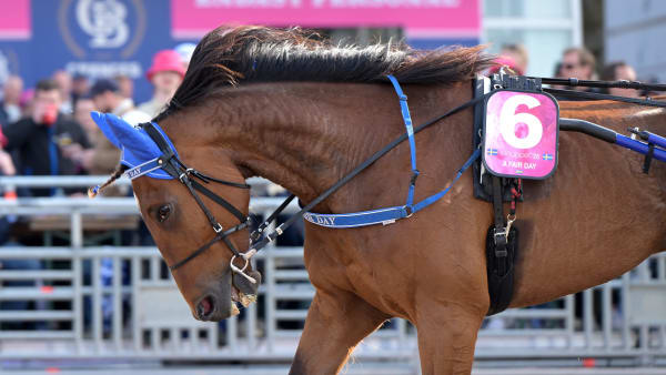 Foto: LARS JAKOBSSON / TR BILD