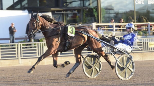 Foto: LARS JAKOBSSON / TR BILD