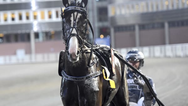 Foto: LARS JAKOBSSON / TR BILD