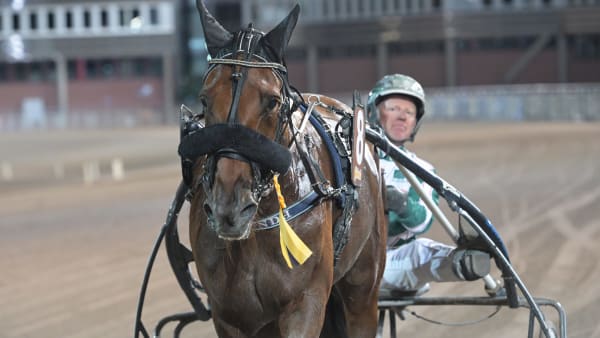 Foto: LARS JAKOBSSON / TR BILD