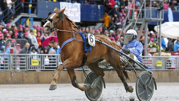 Foto: MARIA HOLMÉN / TR BILD