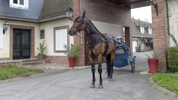 Foto: LARS JAKOBSSON / TR BILD