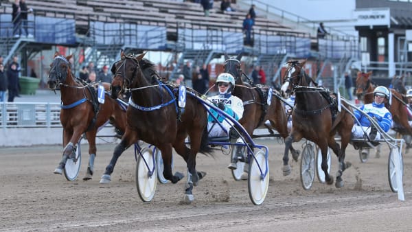 Foto: MARIA HOLMÉN / TR BILD