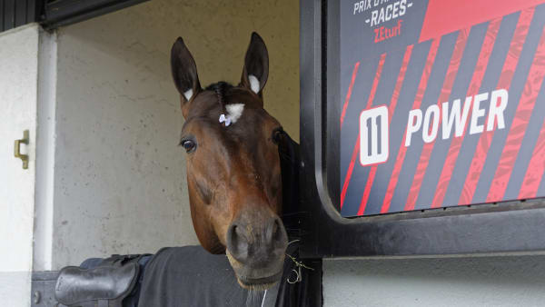 Foto: Jean-Luc Lamère/Le Trot