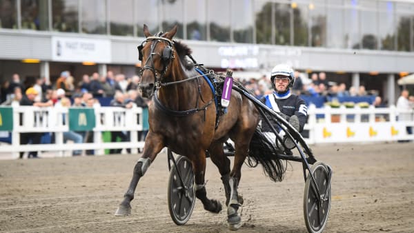 Foto: MALIN ALBINSSON / TR BILD