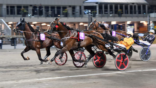 Foto: MALIN ALBINSSON / TR BILD