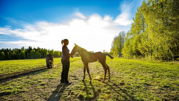 Foto: MATS ENGFORS / FOTOGRAPHIC