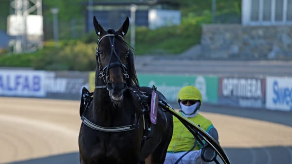 Foto: MATILDA ÖHRMAN / TR BILD