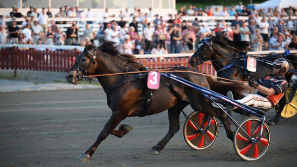 Foto: SOPHIE NYBLOM