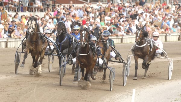 Foto: MICKE GUSTAFSSON / TR BILD