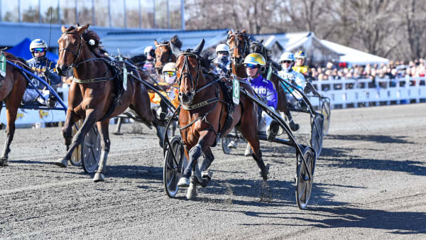 Foto: MALIN ALBINSSON / TR BILD