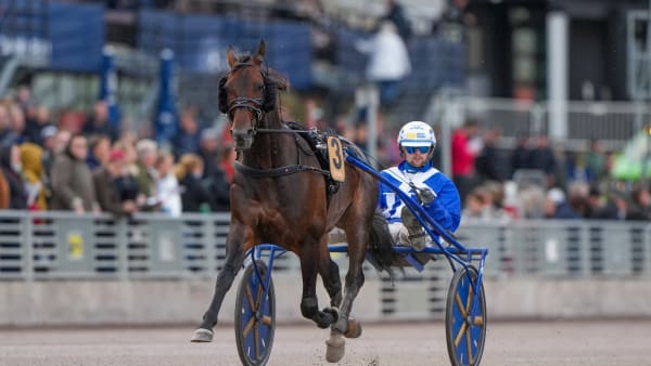 Foto: THOMAS BLOMQVIST / TR BILD