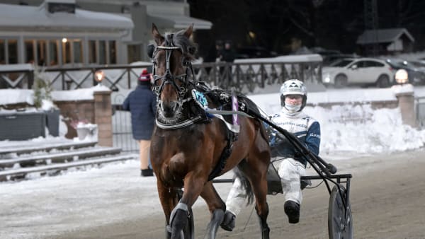 Foto: LARS JAKOBSSON / TR BILD