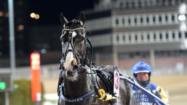 Foto: LARS JAKOBSSON / TR BILD