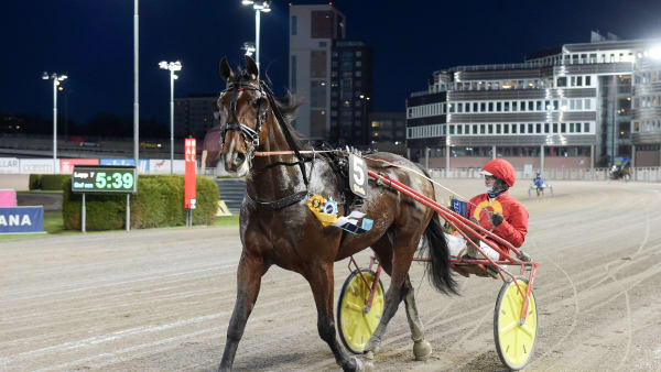 Foto: LARS JAKOBSSON / TR BILD