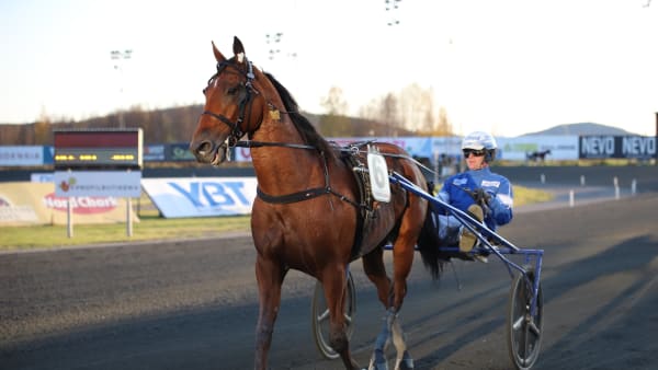 Foto: SOPHIE NYBLOM